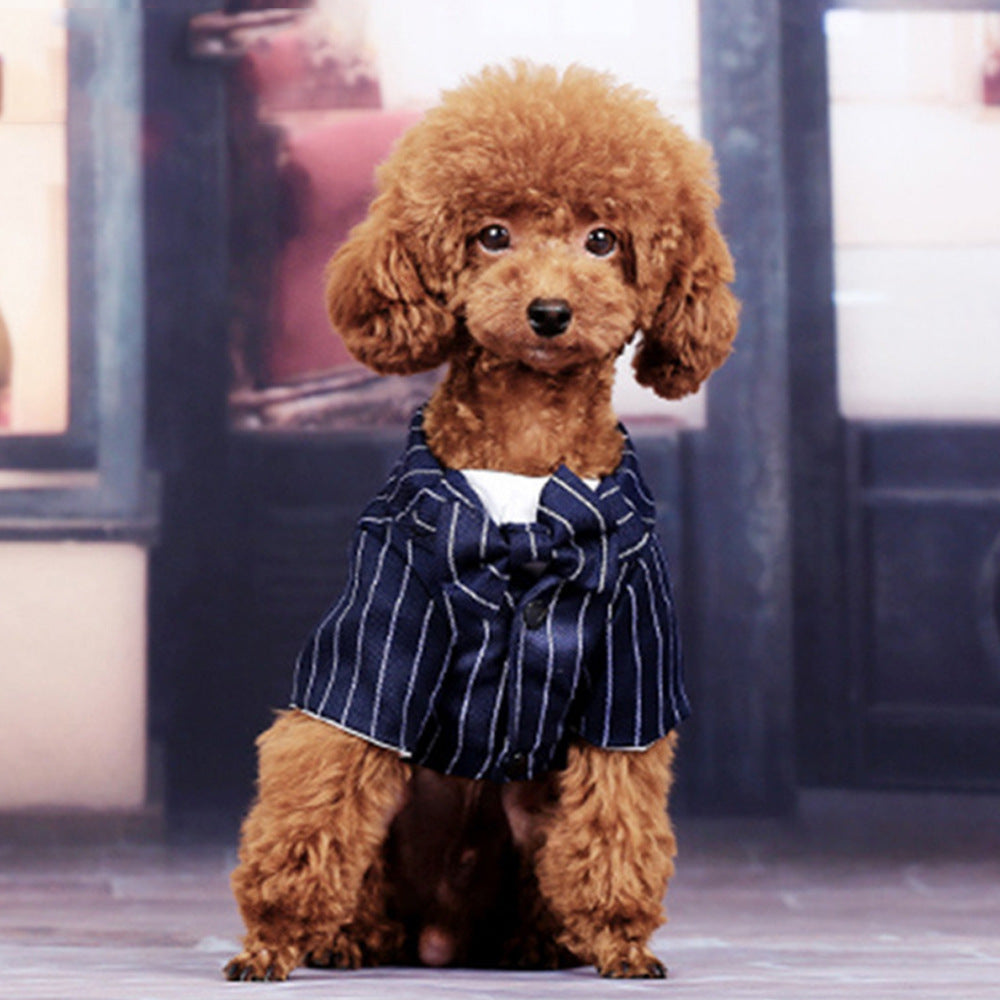 Puppy Dog Suit Dress Summer Dress Thin Small Dog