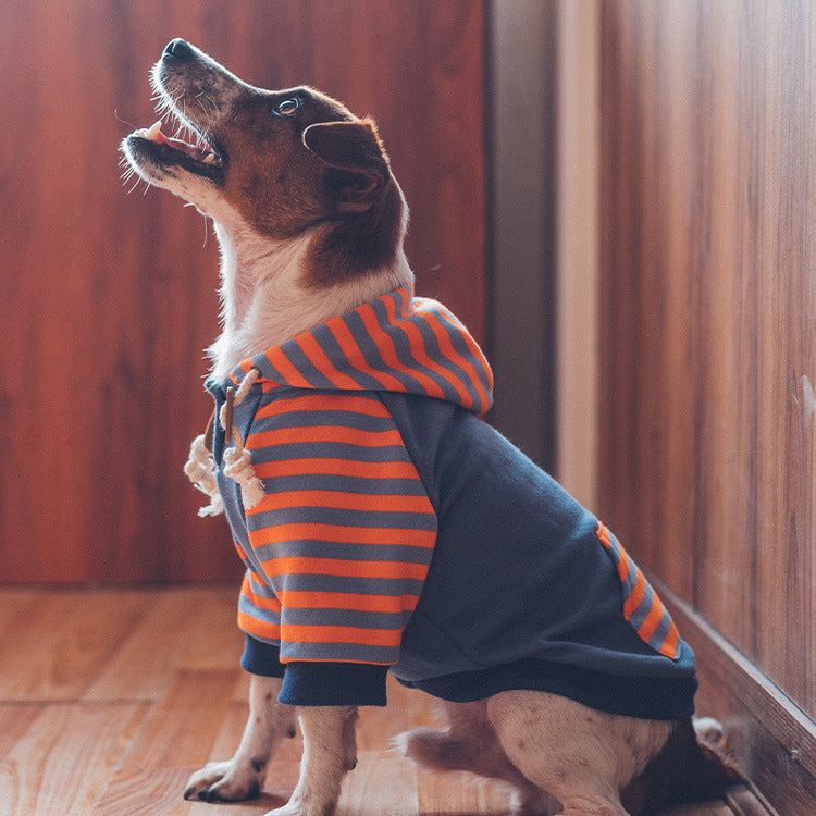 Dog clothes hooded