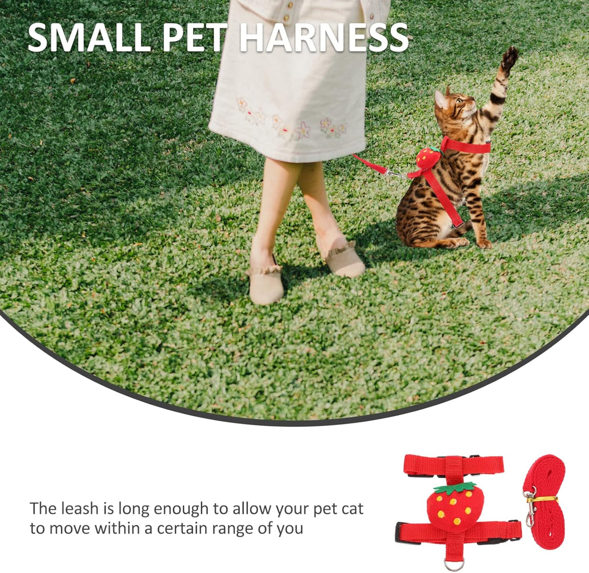 Small Pet Traction Rope And Harness - Keep Your Cat Dog Or Other Small Pet Safe And Secure
