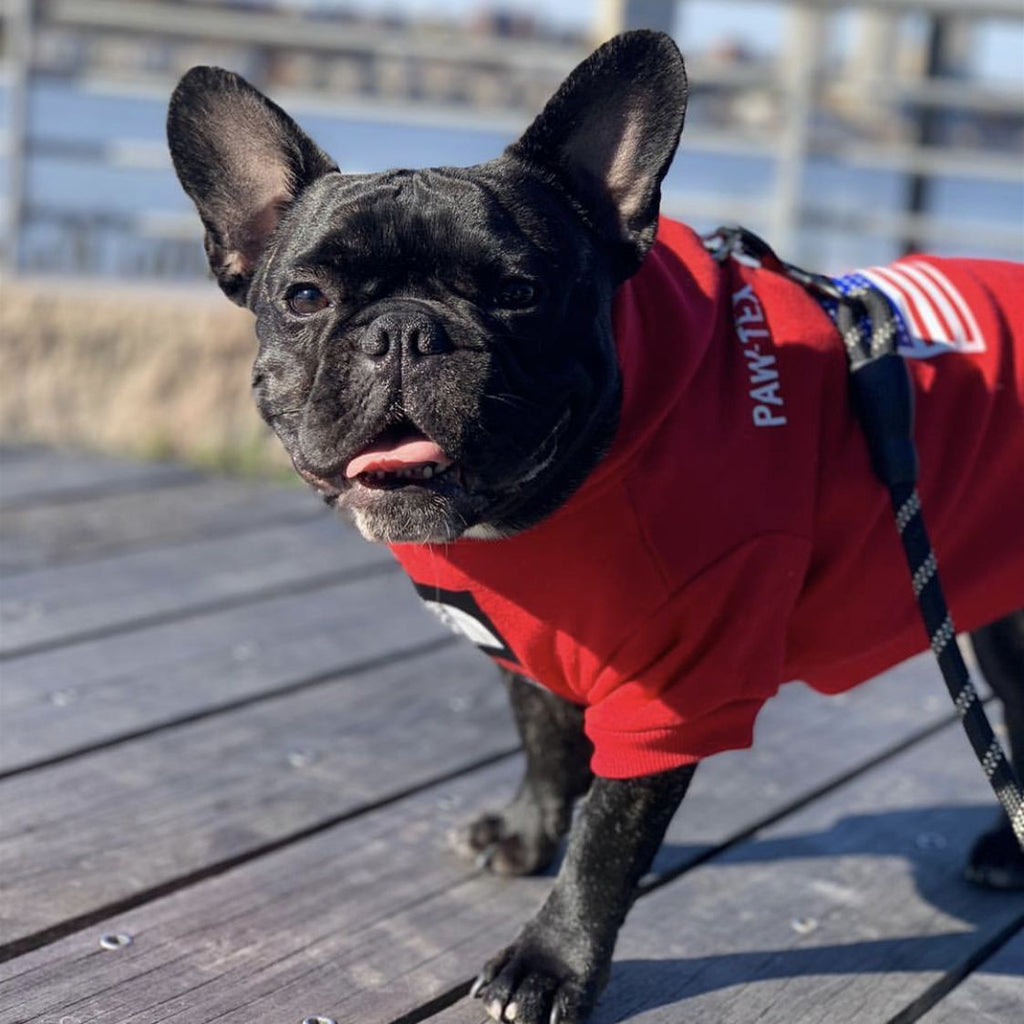 Warm autumn and winter dog clothes