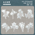 Retrostory Flower Dyeing Series Pet Sticker Pack 16 Pieces into Retro Flower Handbook DIY Material Decorative Stickers