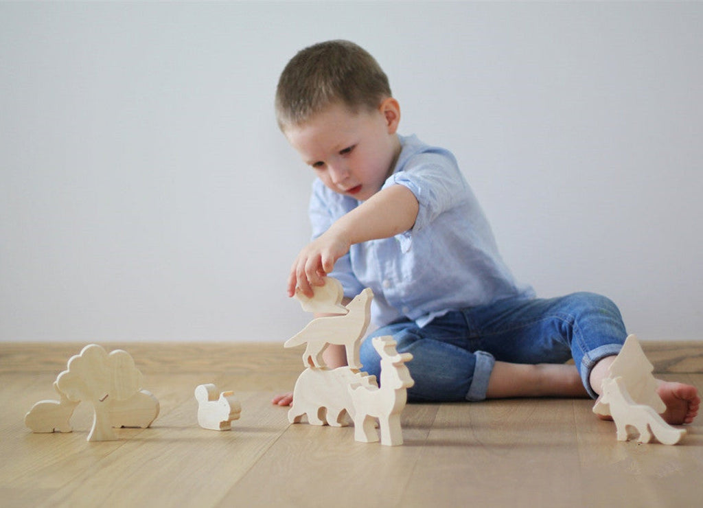 Wooden Scientific And Educational Toys For Children
