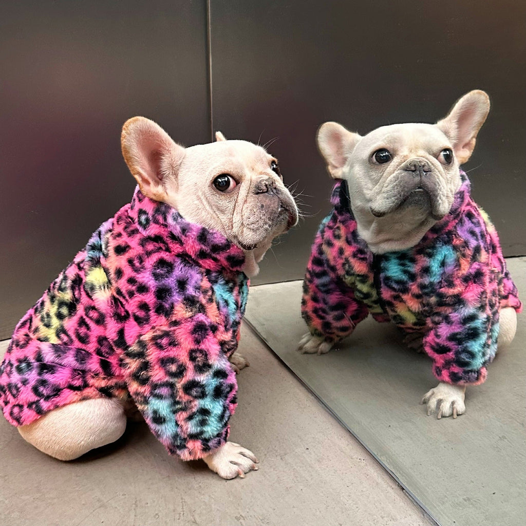 New Style Pet Clothes Colorful Leopard Print Velvet Coat