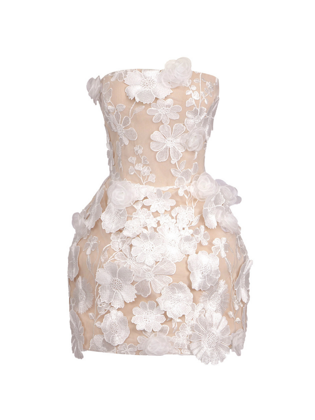 Danielle Strapless Flower Embroidered Mini Dress In White