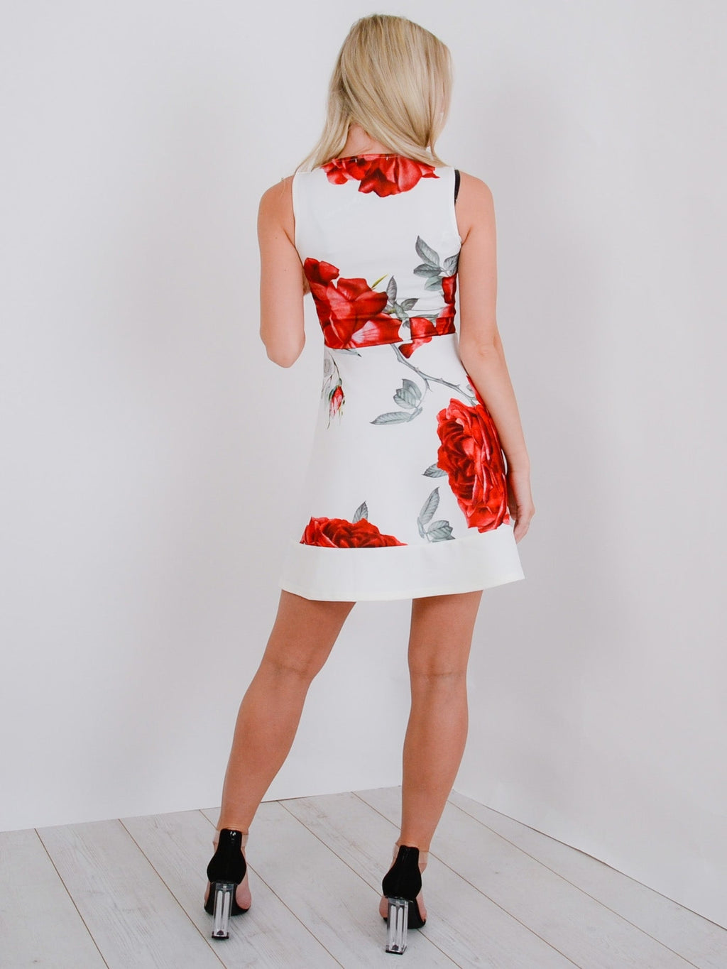 Rose Print Skater Dress