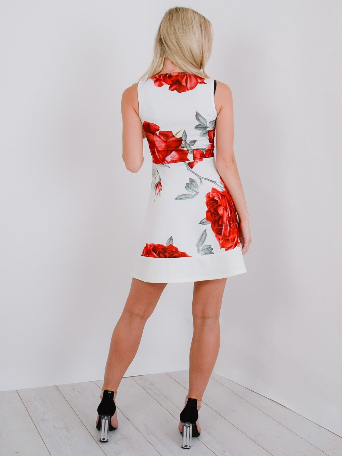 Rose Print Skater Dress