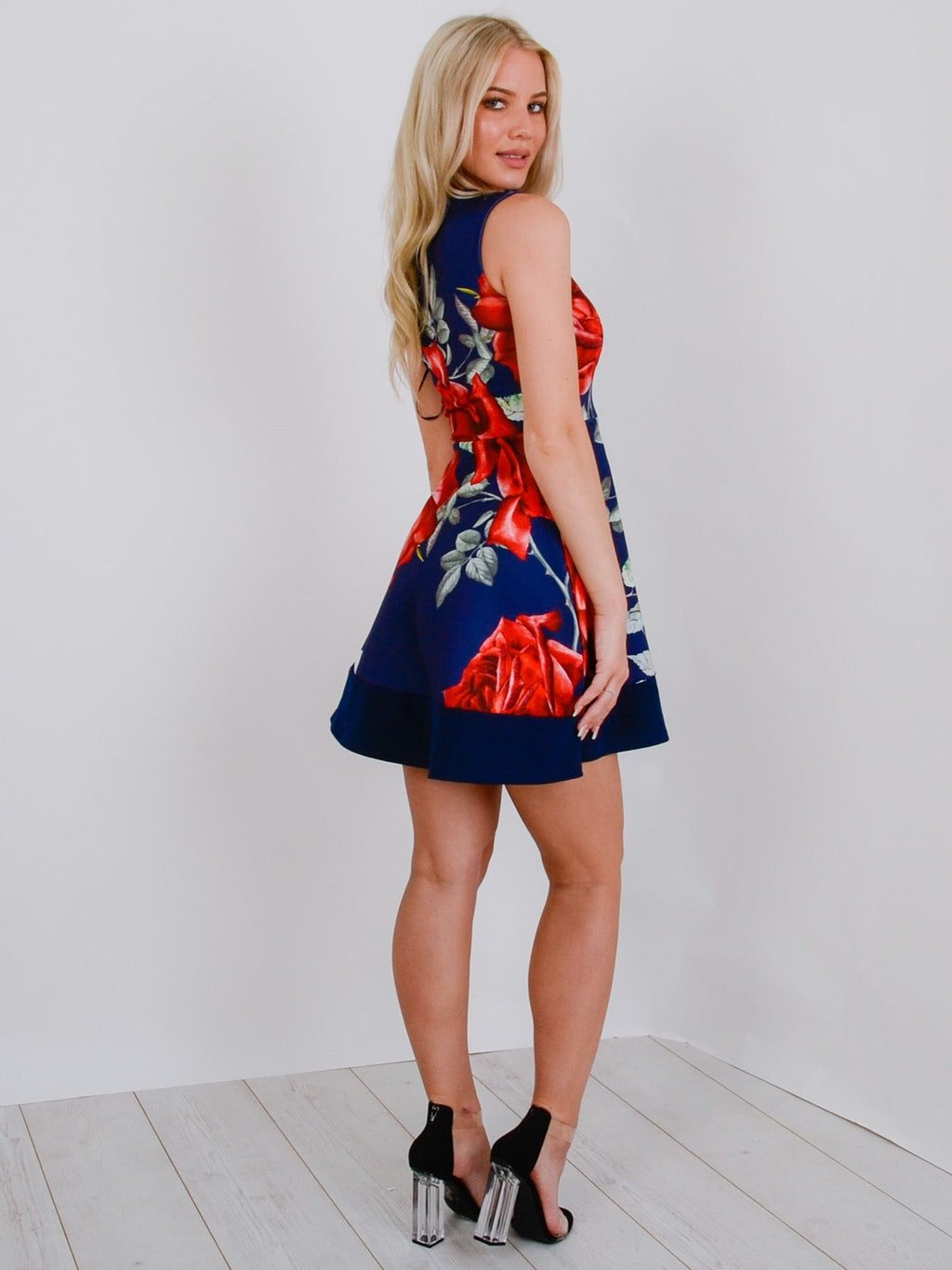 Rose Print Skater Dress