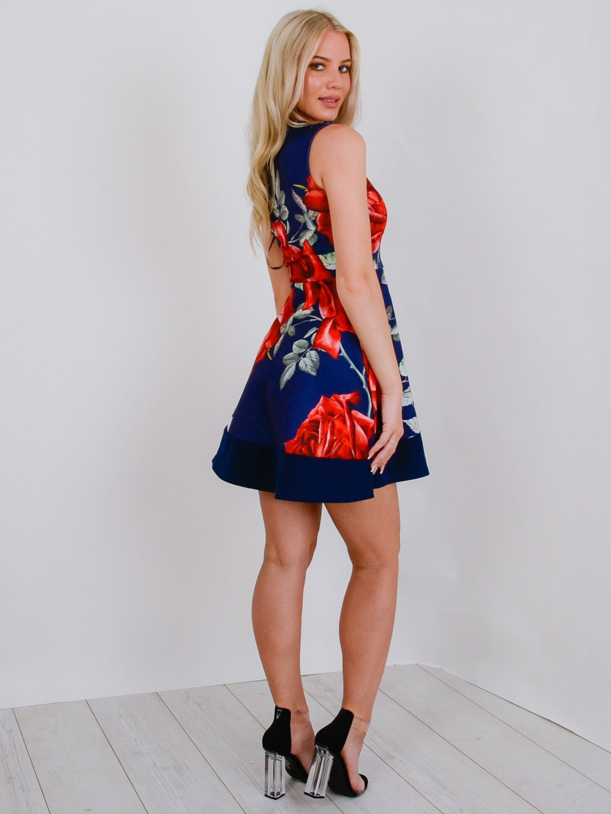 Rose Print Skater Dress