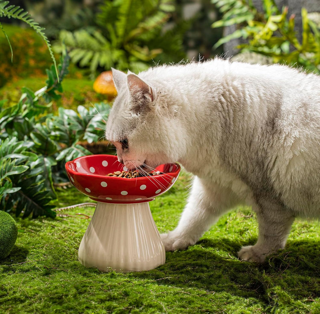 Mushroom Raised Cat Bowl With Cute Polka Dot Design And Safe Ceramic Material For Small Pets