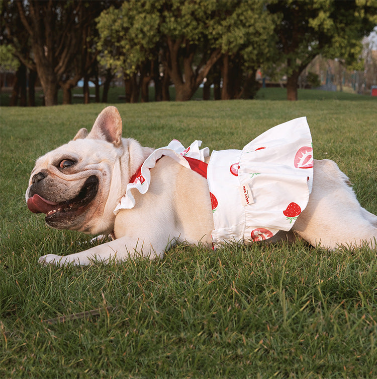Lotus Leaf Lace Suspender Skirt Fadou Sherry Teddy Small And Medium Sized Dog, Cat And Dog Clothes Bago Strawberry Print