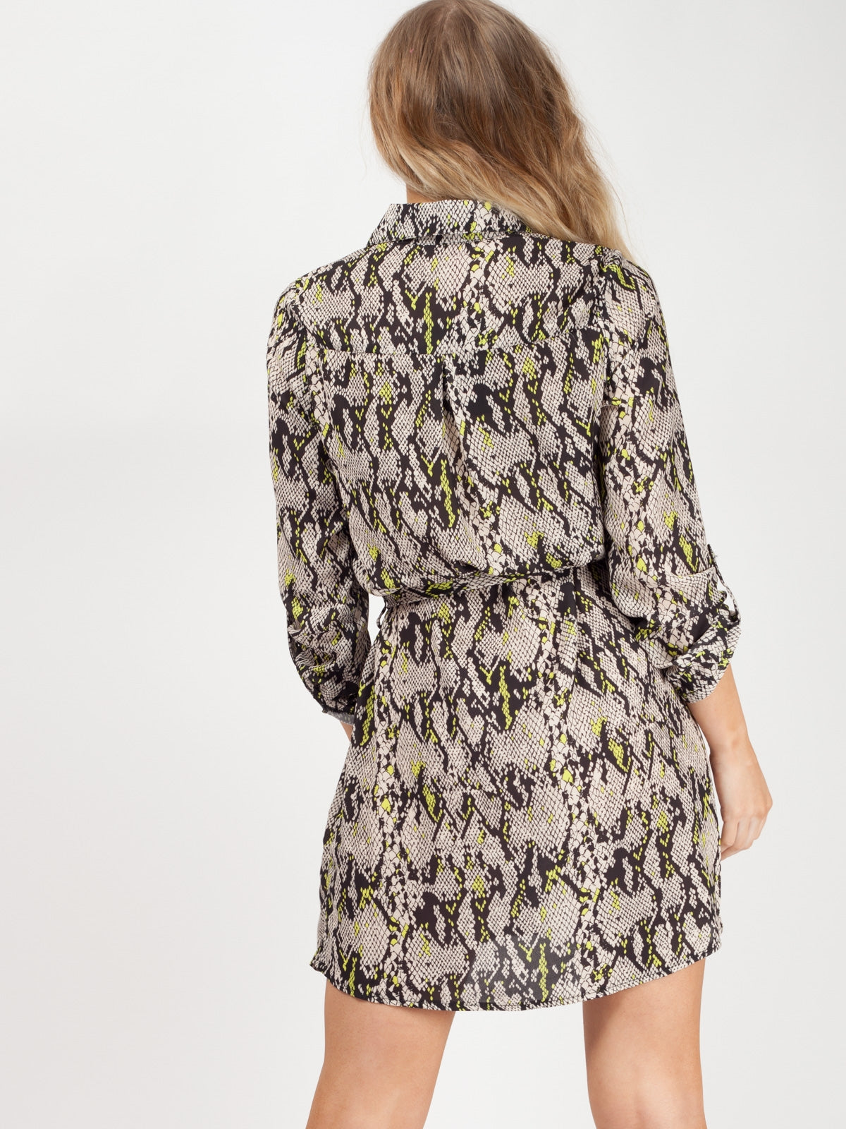 Snake Print Shirt Dress