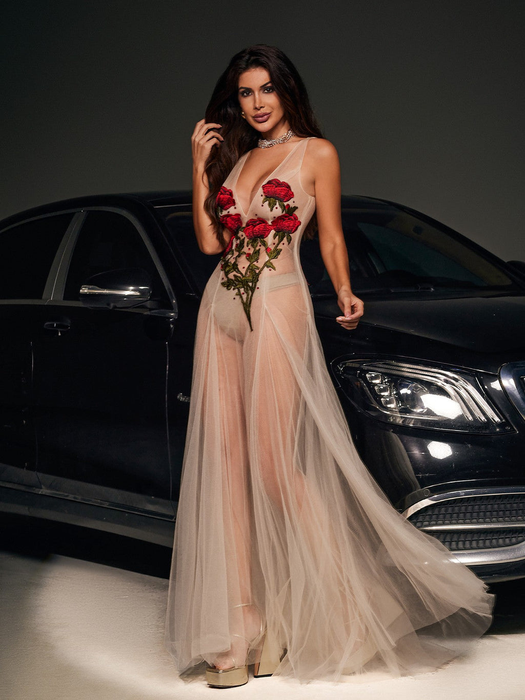 Kateri V Neck Flower Embroidered Mesh Dress