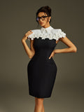 Liona Collar Flower Mini Dress In Black